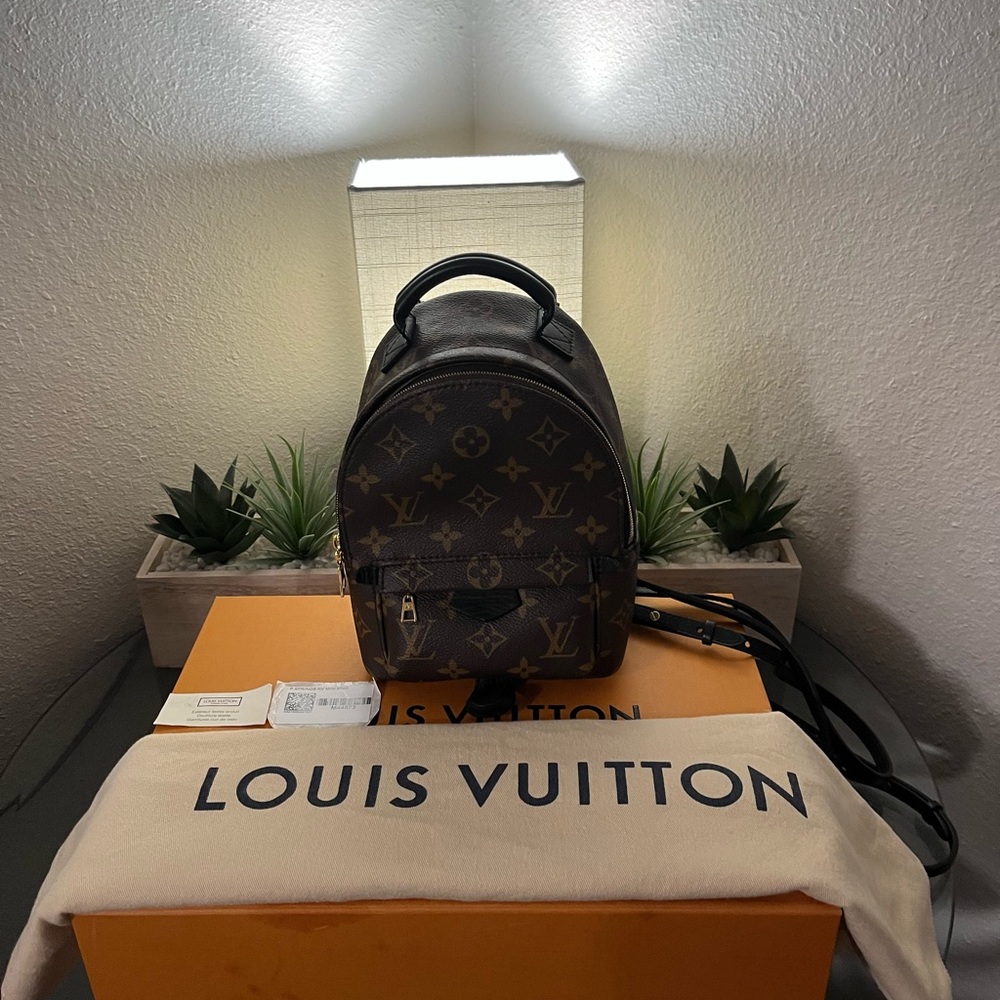 Louis vuitton palm spring mini backpack